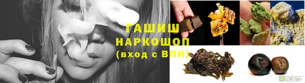 гидра Бородино
