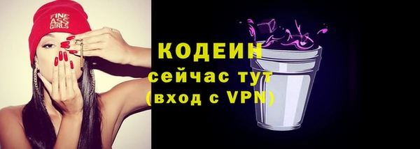 гидра Бородино
