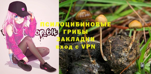 тгк Бугульма