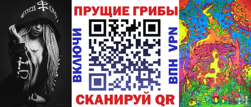Купить закладки  Можайск  Галлюциногенные грибы Magic Shrooms 